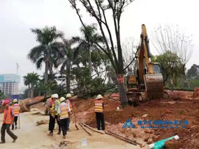 綠化工程